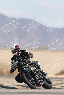 media/Oct-13-2025-Moto Forza (Mon) [[a66d839500]]/3-B Group/Session 4 Turn 4 Tree of Life/